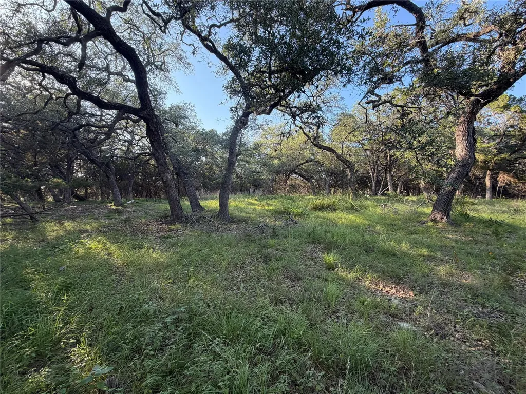 1206 Fawn Park Lago Vista TX 78645