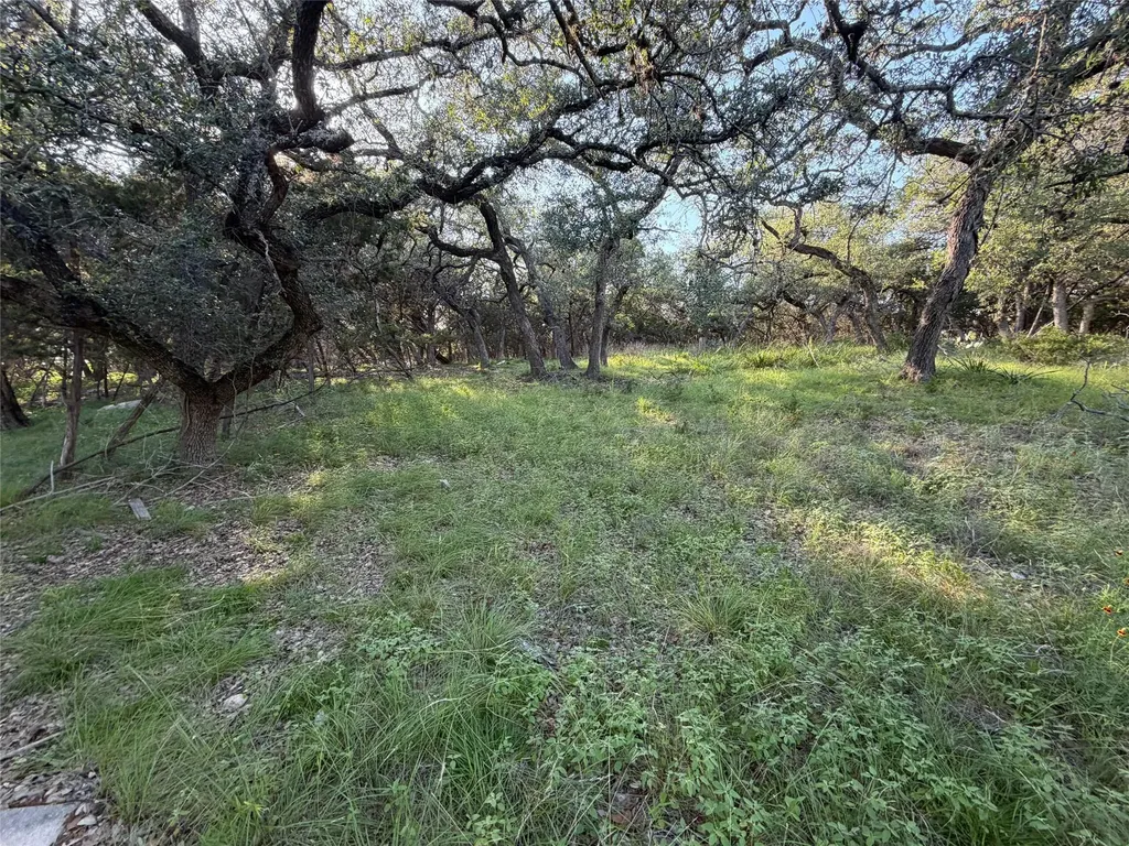1206 Fawn Park Lago Vista TX 78645