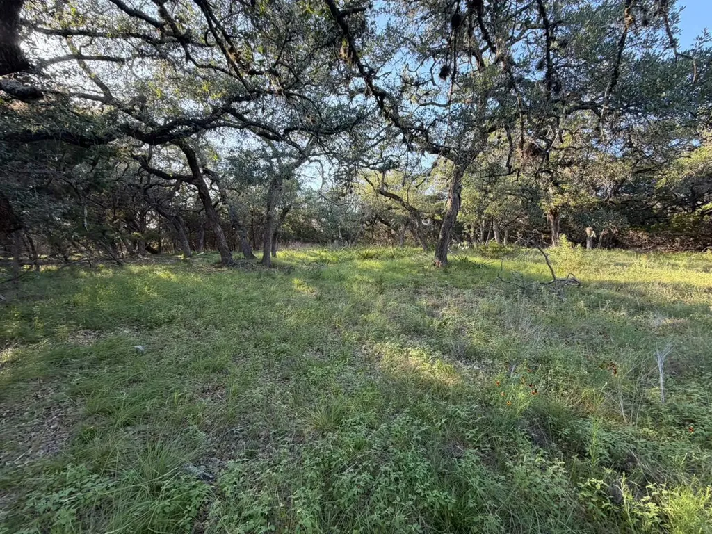 1206 Fawn Park Lago Vista TX 78645