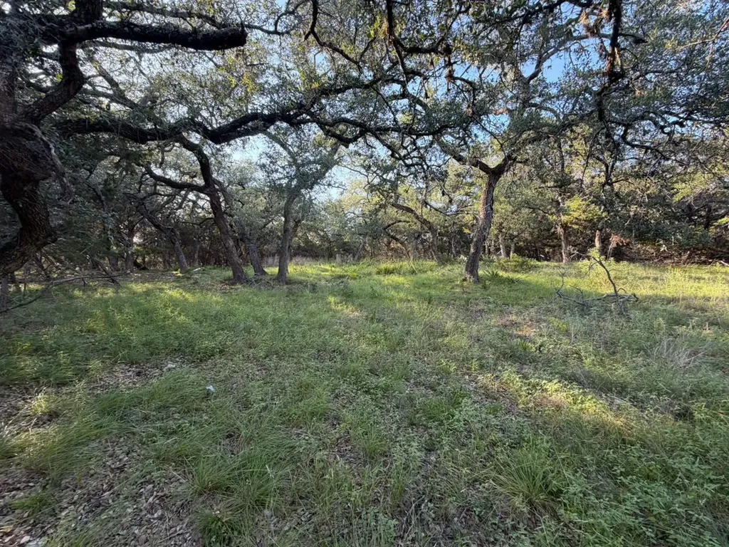 1206 Fawn Park Lago Vista TX 78645
