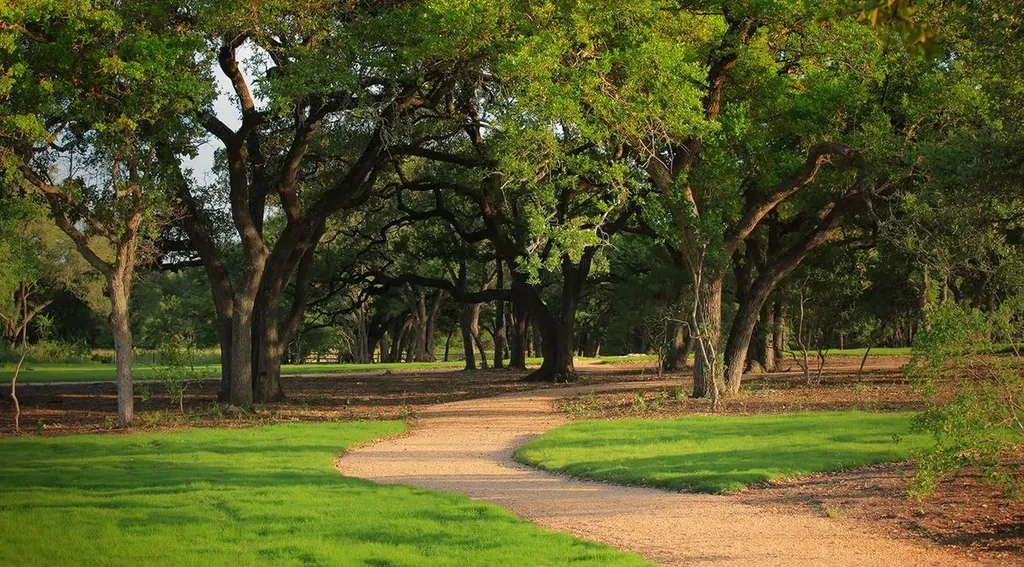 1145 Flying Cloud Trail Georgetown TX 78628
