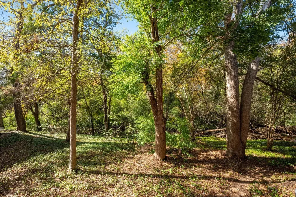 3839 Dry Creek Drive Austin TX 78731