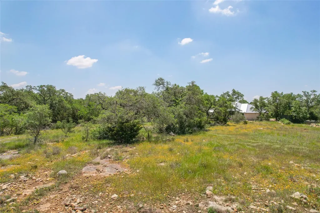 121 Asa Harold Blanco TX 78606