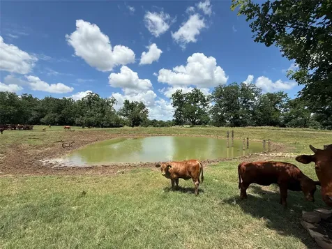 314 Fm 2571 Smithville TX 78957