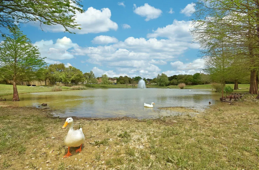 490 Aspen Drive Austin TX 78737