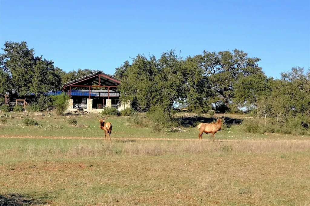Lot 109 Oryx Cove Blanco TX 78606