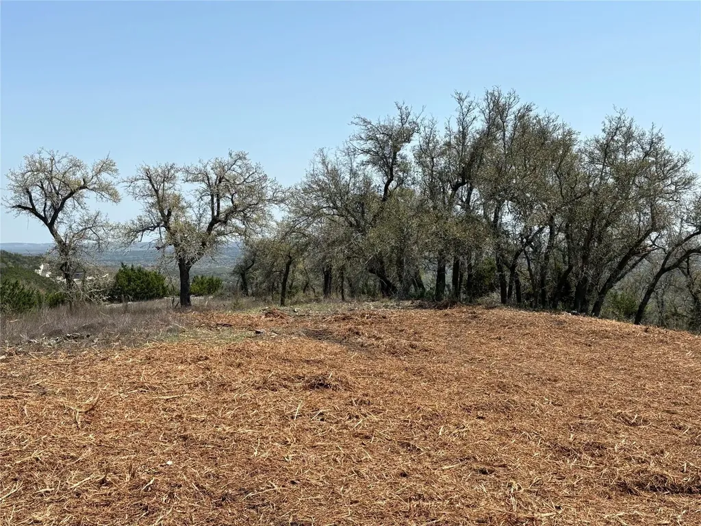 Lot 109 Oryx Cove Blanco TX 78606