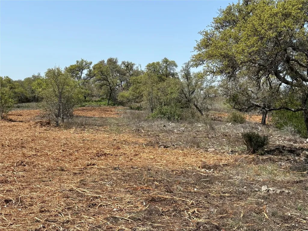 Lot 109 Oryx Cove Blanco TX 78606