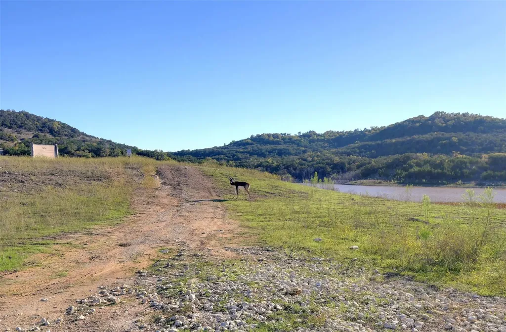 Lot 109 Oryx Cove Blanco TX 78606