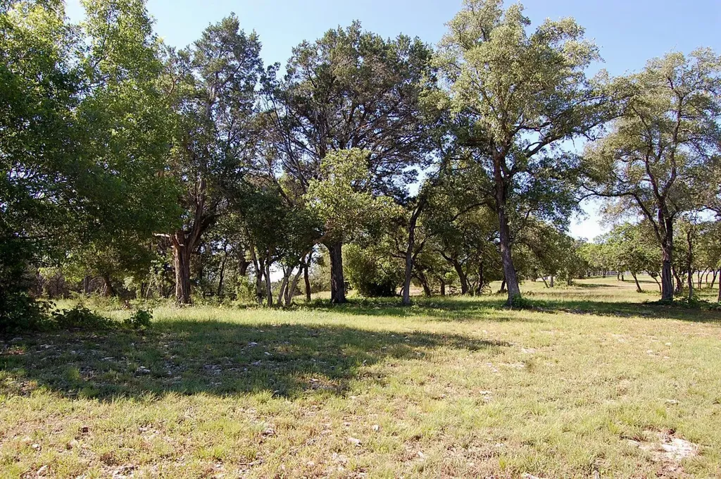 0 Rio Gabriel Liberty Hill TX 78642