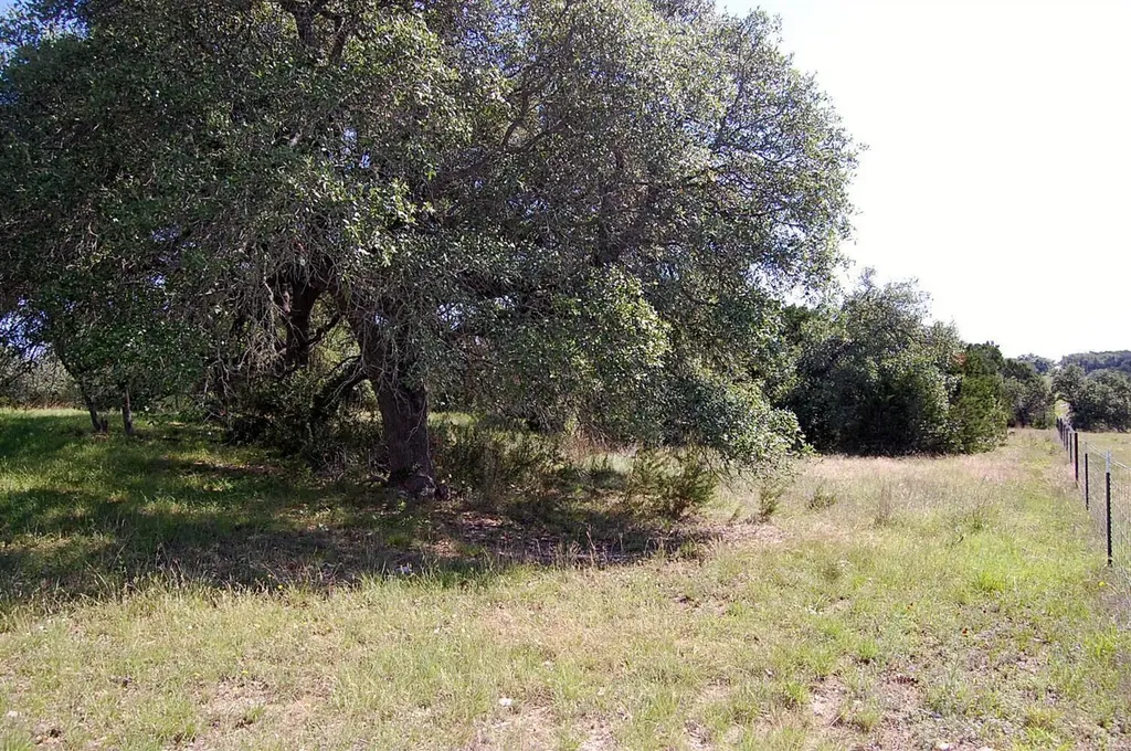 0 Rio Gabriel Liberty Hill TX 78642
