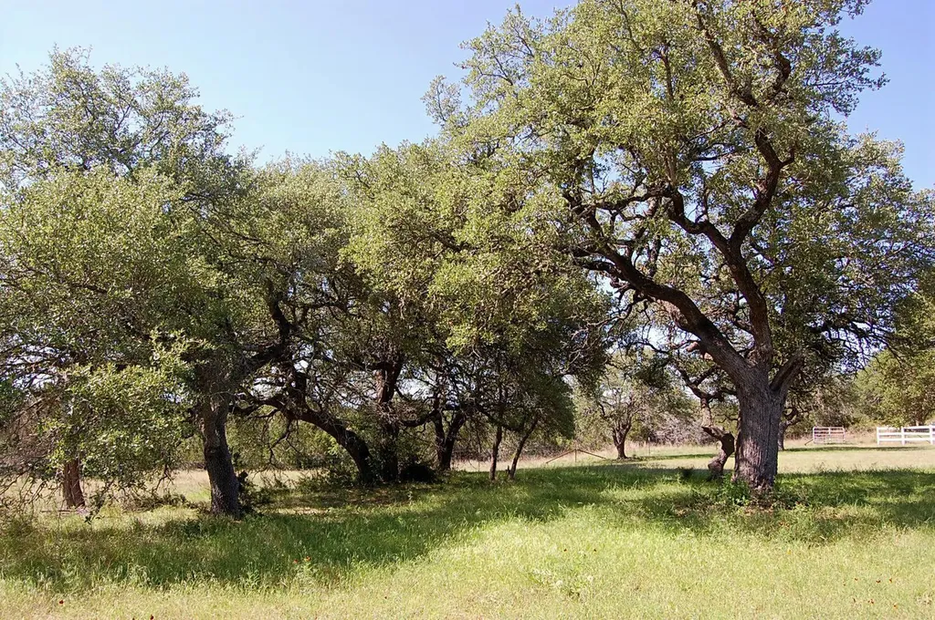 0 Rio Gabriel Liberty Hill TX 78642