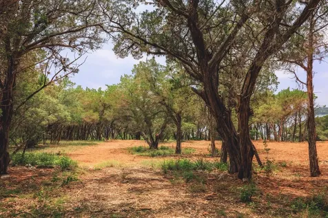 7100 Comanche Trail Austin TX 78732