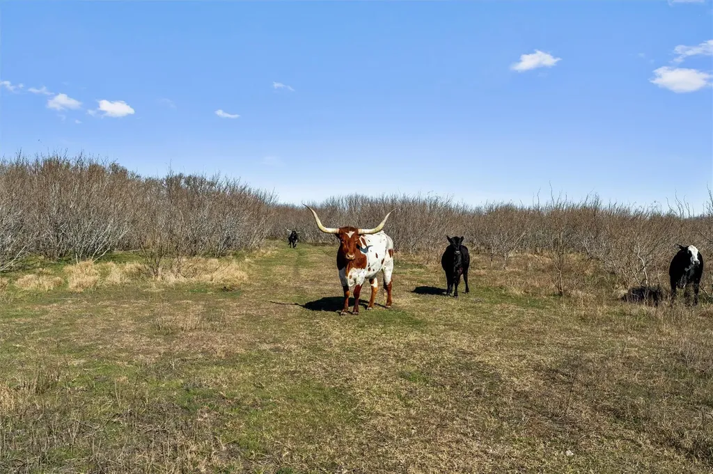 0 Rolling Ridge Road Lockhart TX 78644
