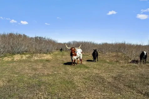 0 Rolling Ridge Road Lockhart TX 78644