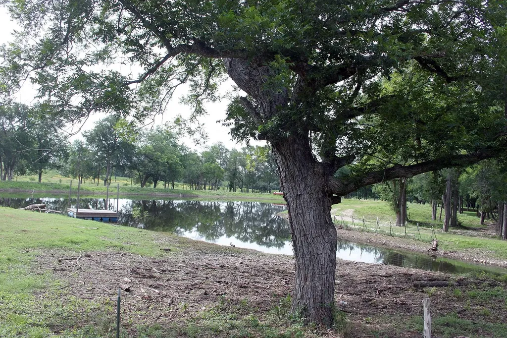 1000 Old Lytton Springs Road Lockhart TX 78644