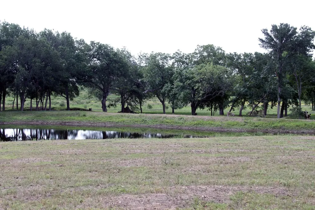 1000 Old Lytton Springs Road Lockhart TX 78644