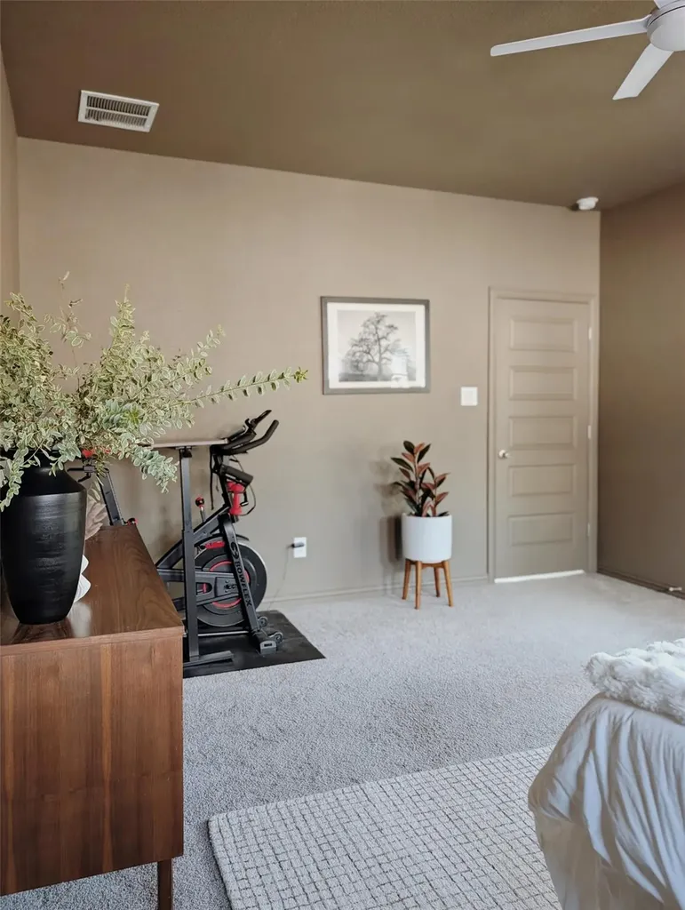 306 Buffalo View Lane Georgetown TX 78628