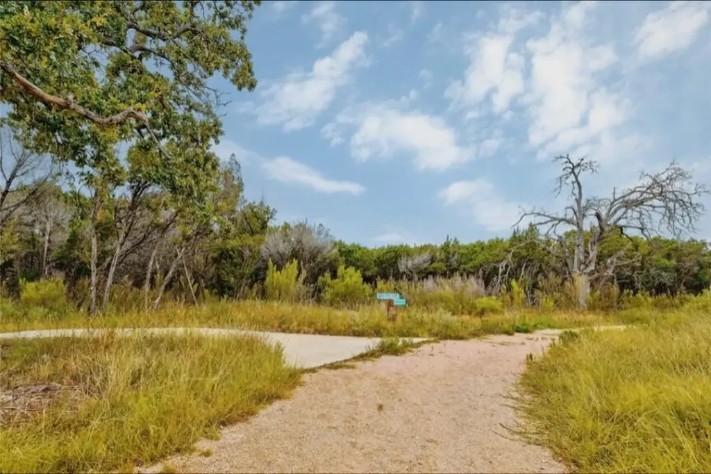 306 Buffalo View Lane Georgetown TX 78628