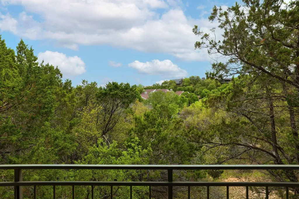6000 Shepherd Mountain Cove Austin TX 78730