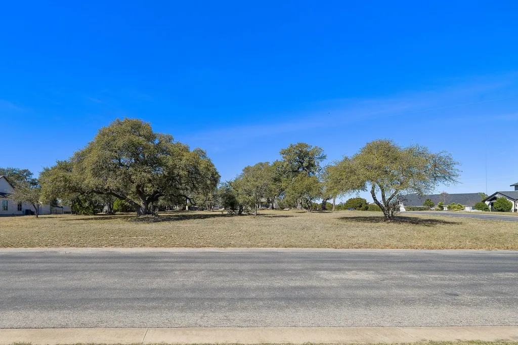 100 Green Branch Court Liberty Hill TX 78642