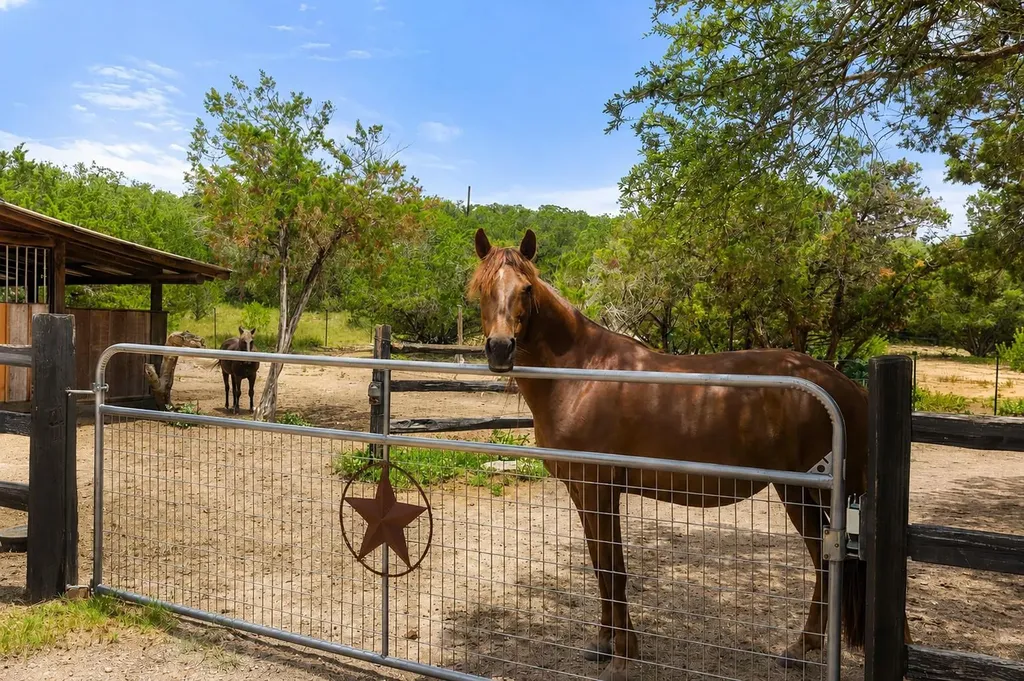 1906 Bee Creek Road Spicewood TX 78669