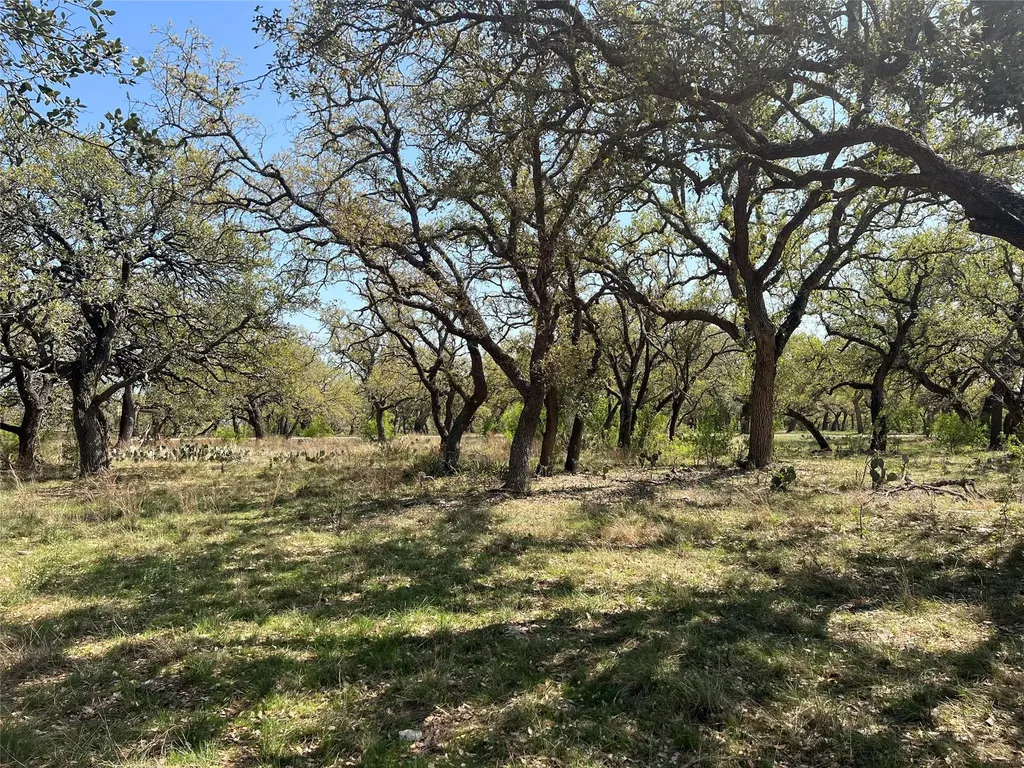 Lot 43 Waterbuck Way Lampasas TX 76550