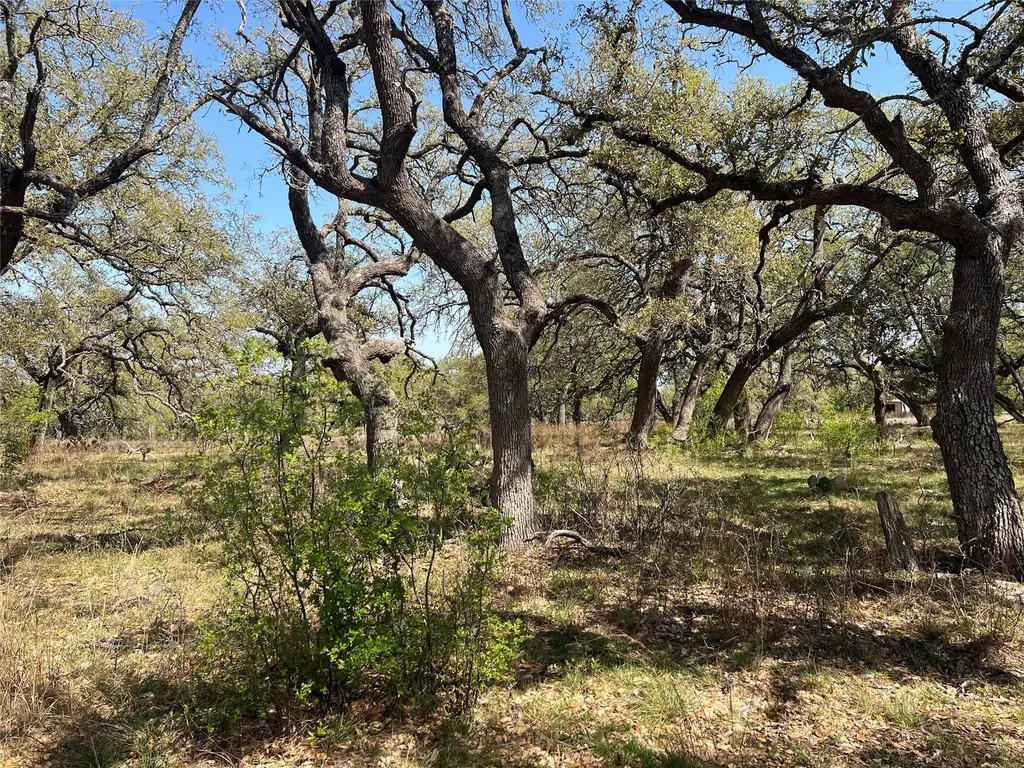 Lot 43 Waterbuck Way Lampasas TX 76550