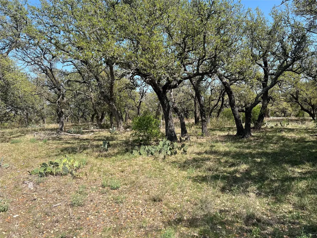 Lot 43 Waterbuck Way Lampasas TX 76550
