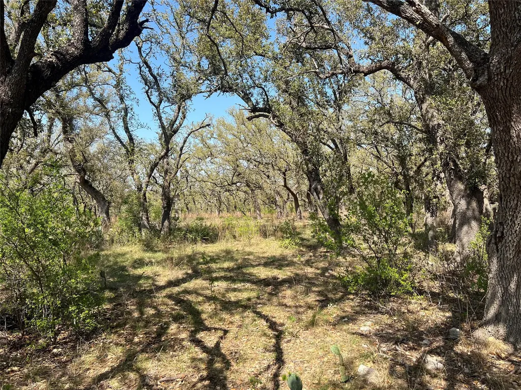 Lot 43 Waterbuck Way Lampasas TX 76550
