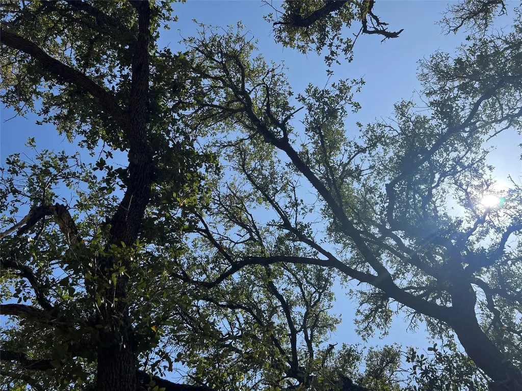 Lot 43 Waterbuck Way Lampasas TX 76550