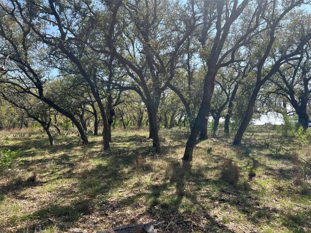 Lot 43 Waterbuck Way Lampasas TX 76550