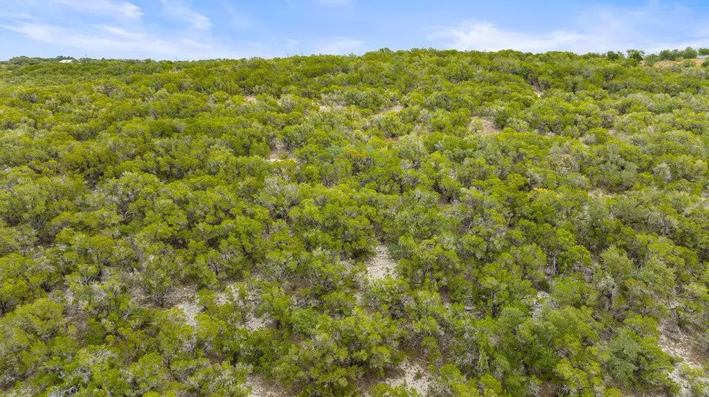 1216 Overland Stage Road Dripping Springs TX 78620