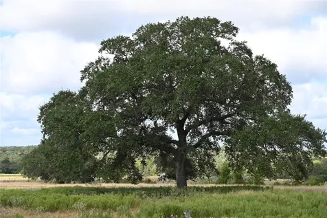 4739 Creamer Creek Road La Grange TX 78945