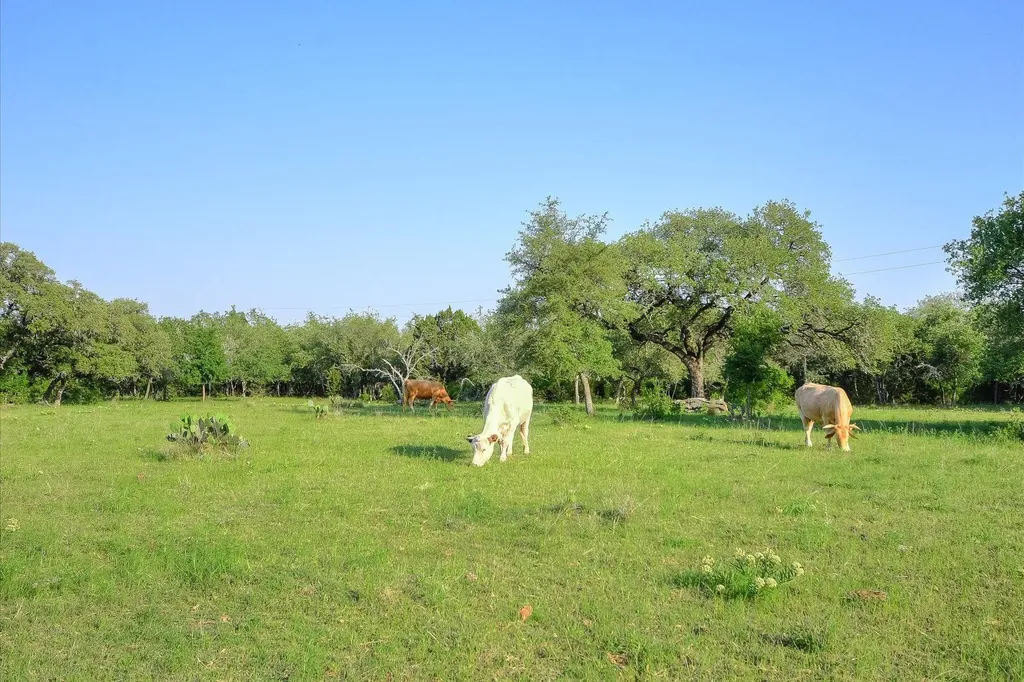 Tbd River Mountain Road Wimberley TX 78676
