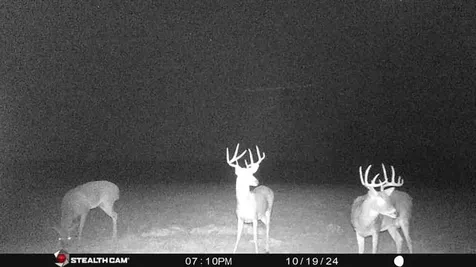 18601 County Road 214 Brownwood TX 76827