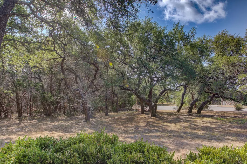 465 Hannah Drive Dripping Springs TX 78620