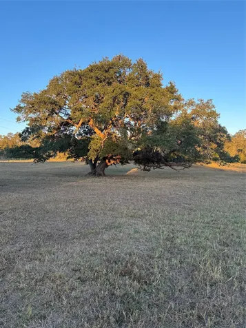 2636 E Fm 532 Schulenburg TX 78956