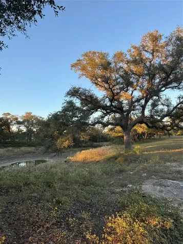 2636 E Fm 532 Schulenburg TX 78956