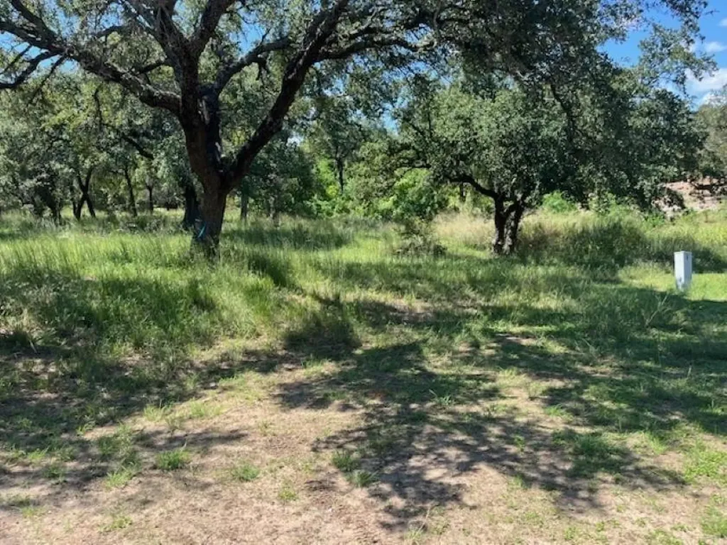 W1114 Blister Gold Road Horseshoe Bay TX 78657