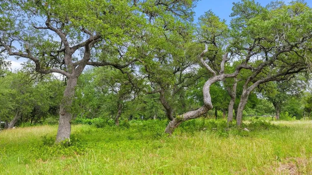 11002 Foundation Road Austin TX 78726