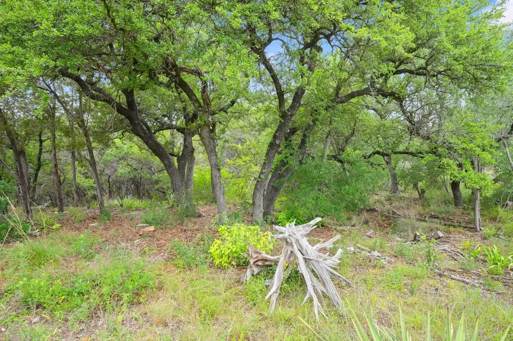 23070 Penernales Canyon Trail Spicewood TX 78669