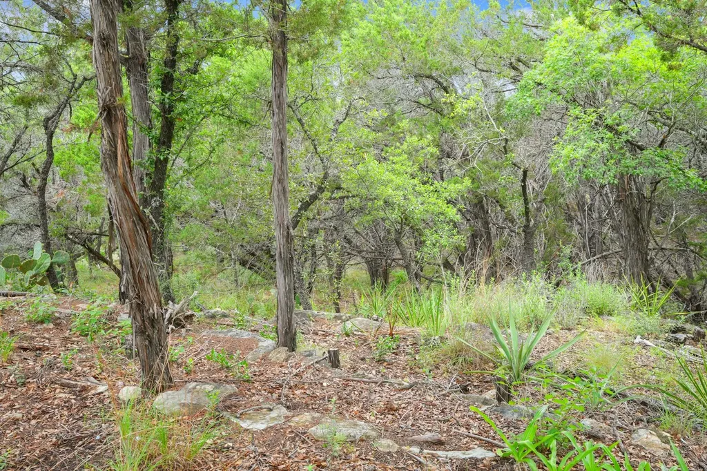 23070 Penernales Canyon Trail Spicewood TX 78669