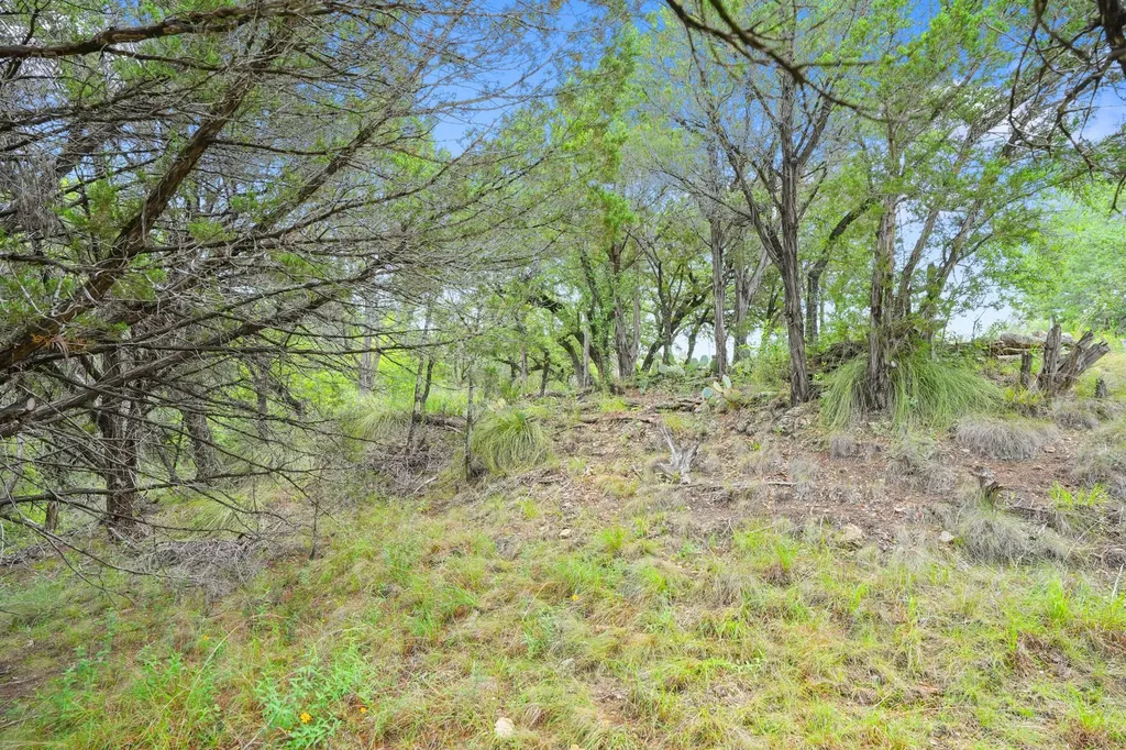23070 Penernales Canyon Trail Spicewood TX 78669