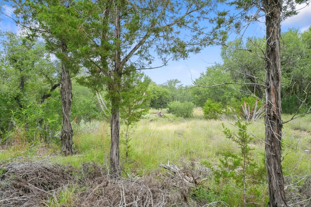 23070 Penernales Canyon Trail Spicewood TX 78669