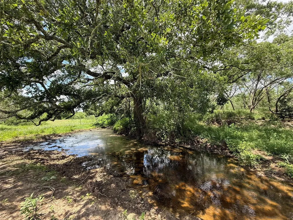 Tbd Pettytown Road Red Rock TX 78662