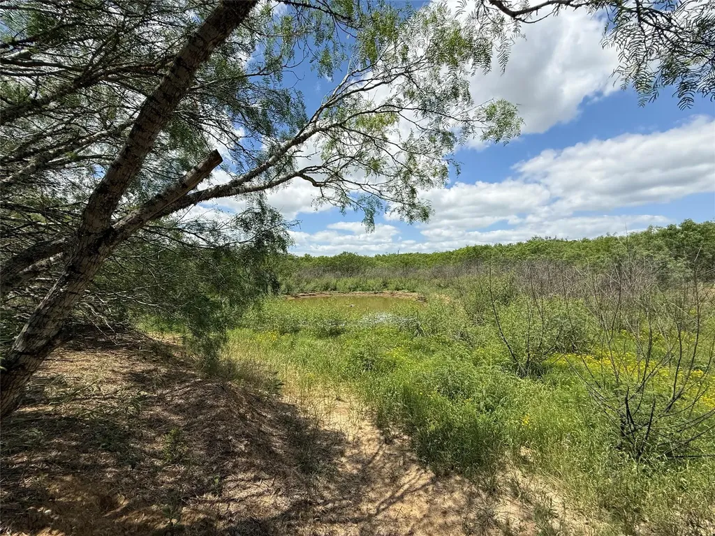 Tbd Pettytown Road Red Rock TX 78662