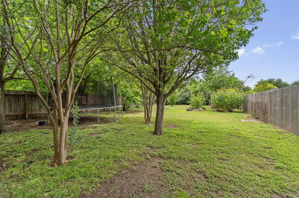 1317 Oolong Lane Pflugerville TX 78660