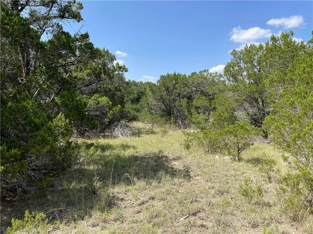 271 Ridgeline Road Leander TX 78641