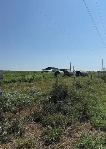1993 Fm 2761 Bernardo TX 78933
